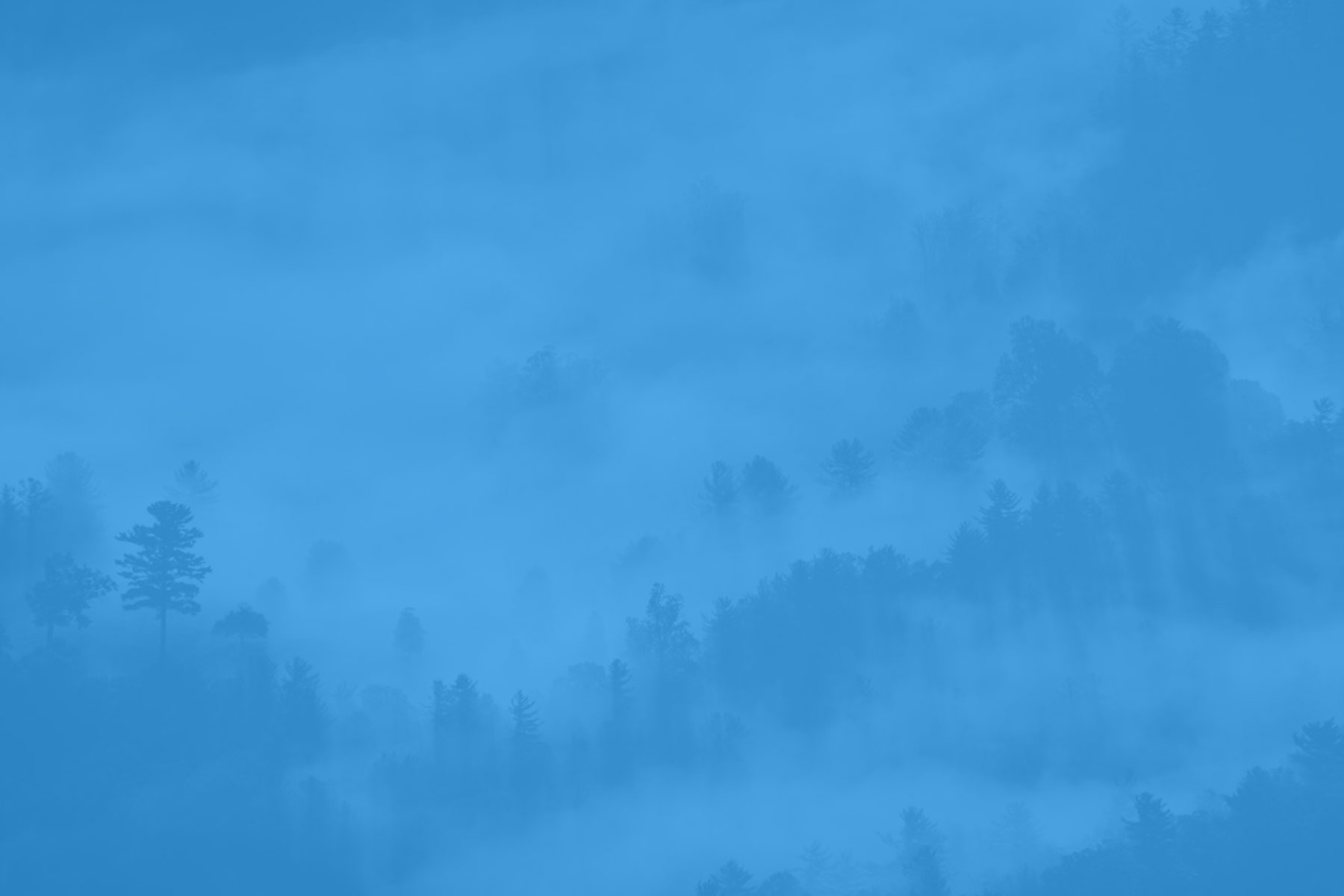 جامعة بيت لحم